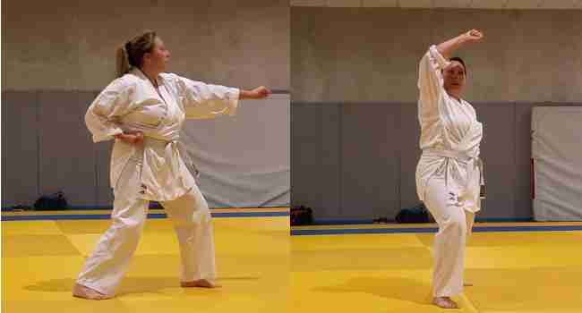 karate metz magnificpopup/ffkda agl-20190627_1.jpg