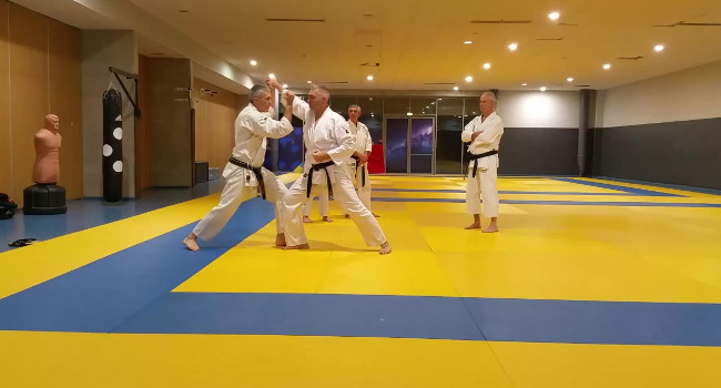 karate metz os-magnificpopup/ippon-kumite ne-pas-arreter-l-adversaire.jpg